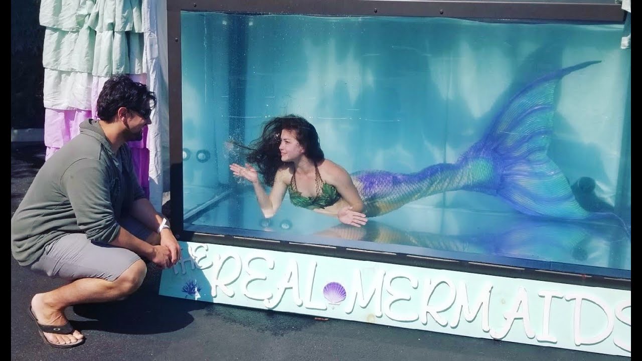 Mermaid Bryn in The Real Mermaids Tank Show!