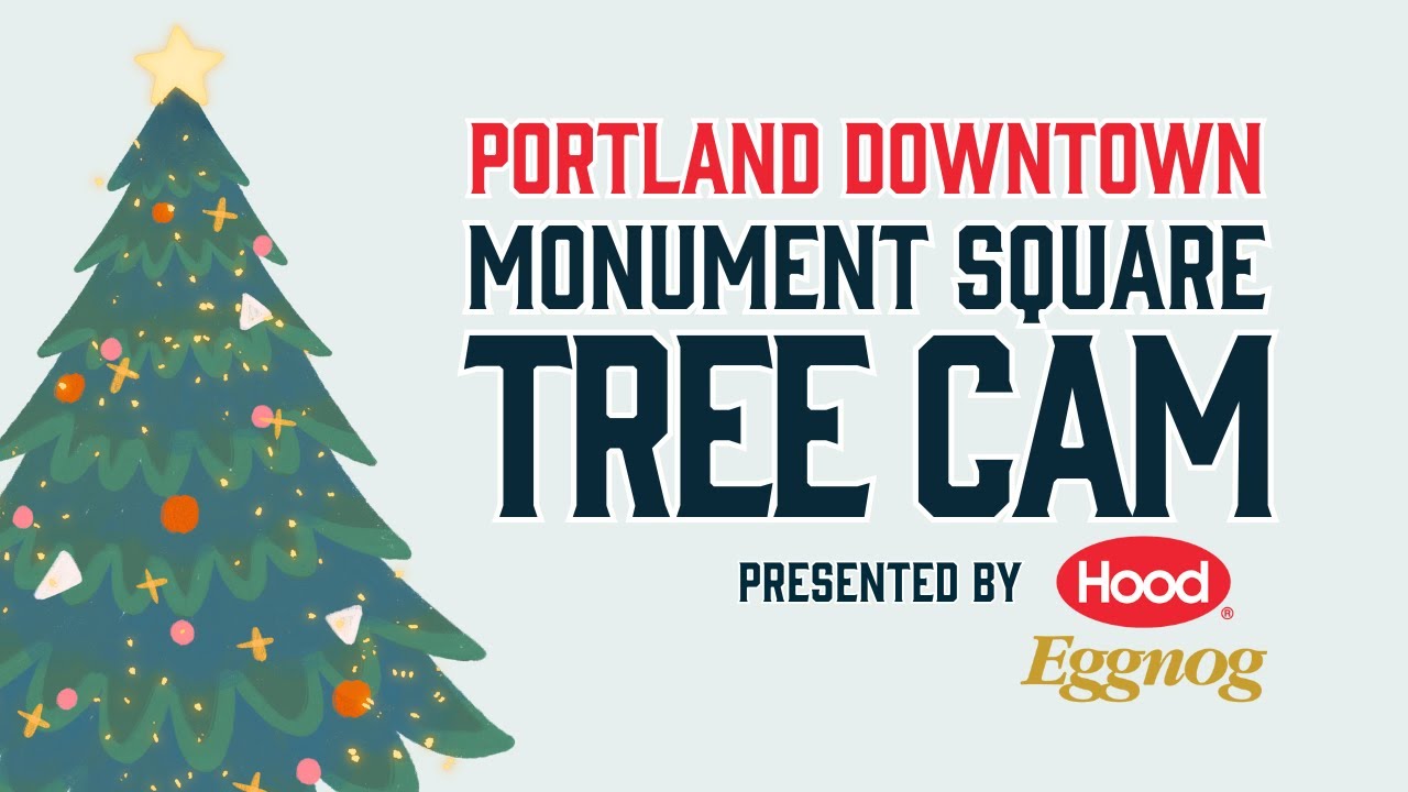 Monument Square Tree Cam Presented By Hood® Eggnog