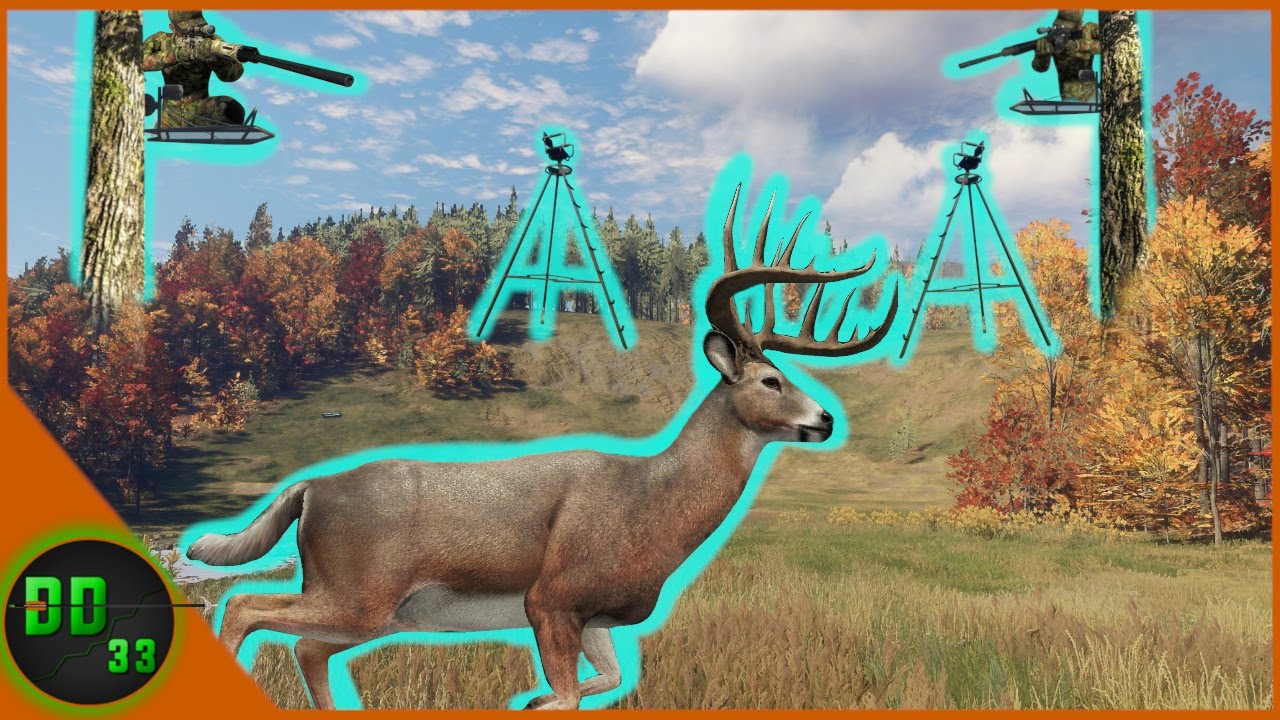 The Ultimate Drive Setup For The New England Mountains! Call Of The Wild