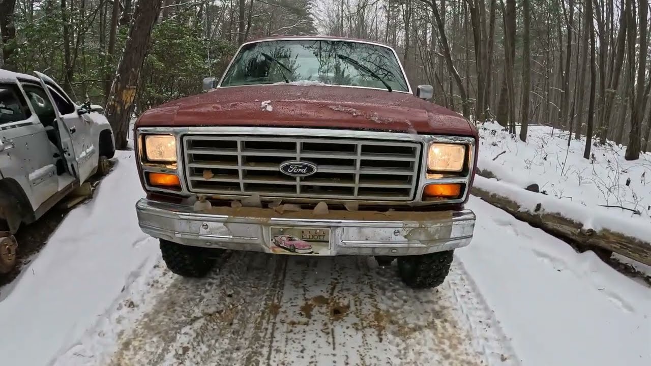 Snow Adventure In Georgia