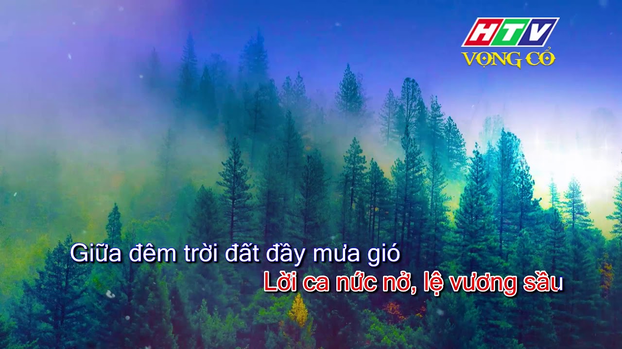 KARAOKE VỌNG CỔ | Tâm Sự Mộng Cầm | Dây xề kép #HTV