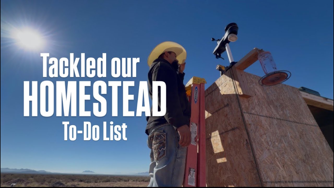 Tackling our To-Do List
