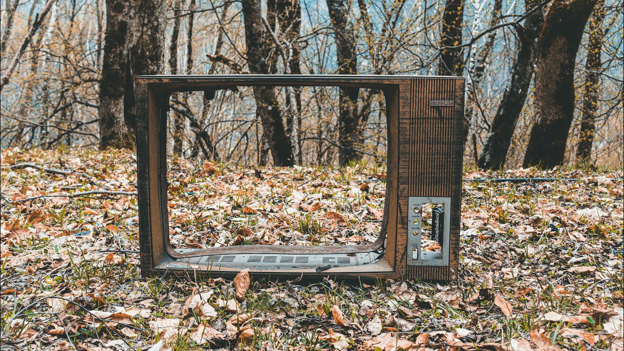 Wildlife reality television | and how we did it