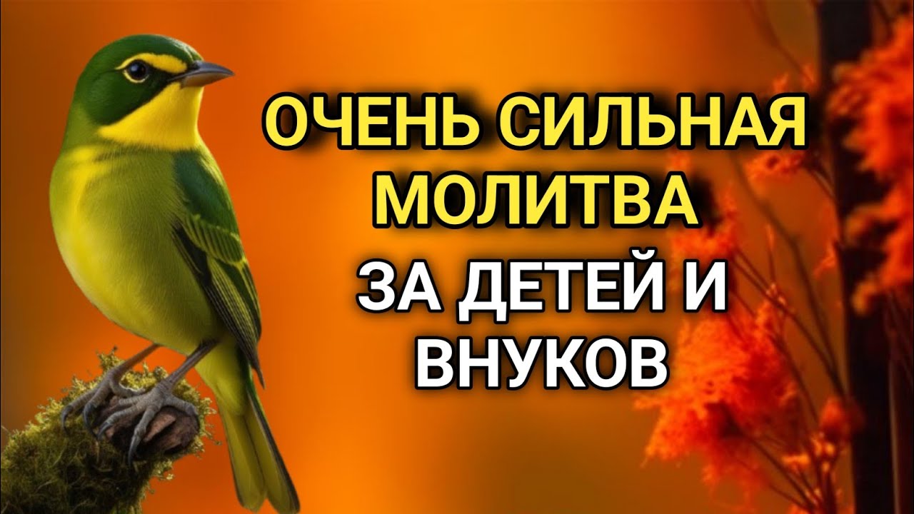 ☝️МОЩНАЯ МОЛИТВА ЗА ДЕТЕЙ И ВНУКОВ СОХРАНИ ЭТУ МОЛИТВУ И ЧИТАЙ КАЖДЫЙ ДЕНЬ УТРОМ И ВЕЧЕРОМ 🤲✨🕊️💯