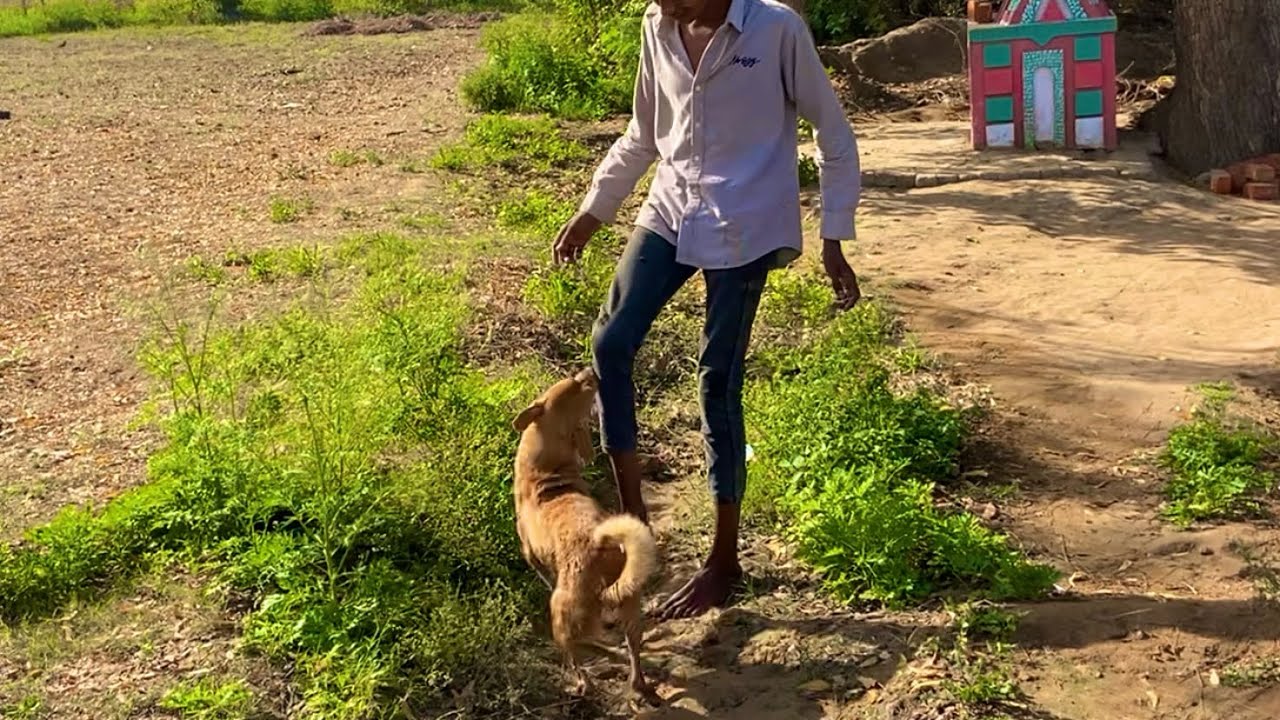 Kalu OR  Doge 🐶 Rileshan 💕