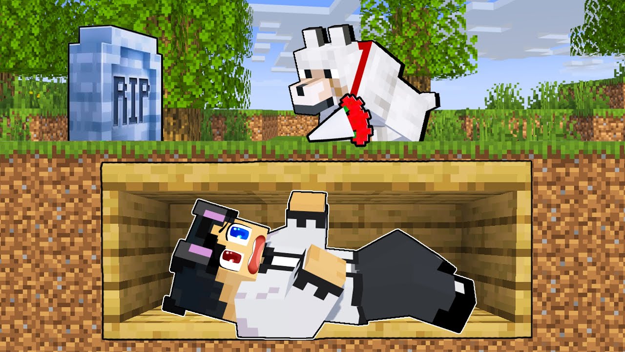 Raizu Was BURIED ALIVE in Minecraft!