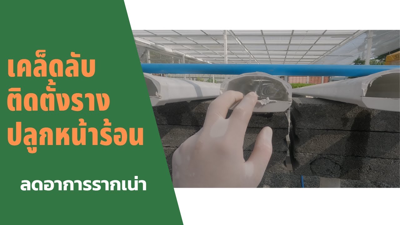 เคล็ดลับ การติดตั้งรางปลูกในหน้าร้อนลดอาการรากเน่า #ผักไฮโดรโปนิกส์ #รางปลูก