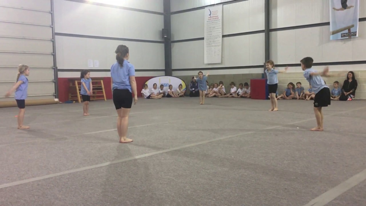 South Norfolk SSP Y1&2 Key Steps Gymnastics Competition 2018 - Harleston Primary School (Scientists)