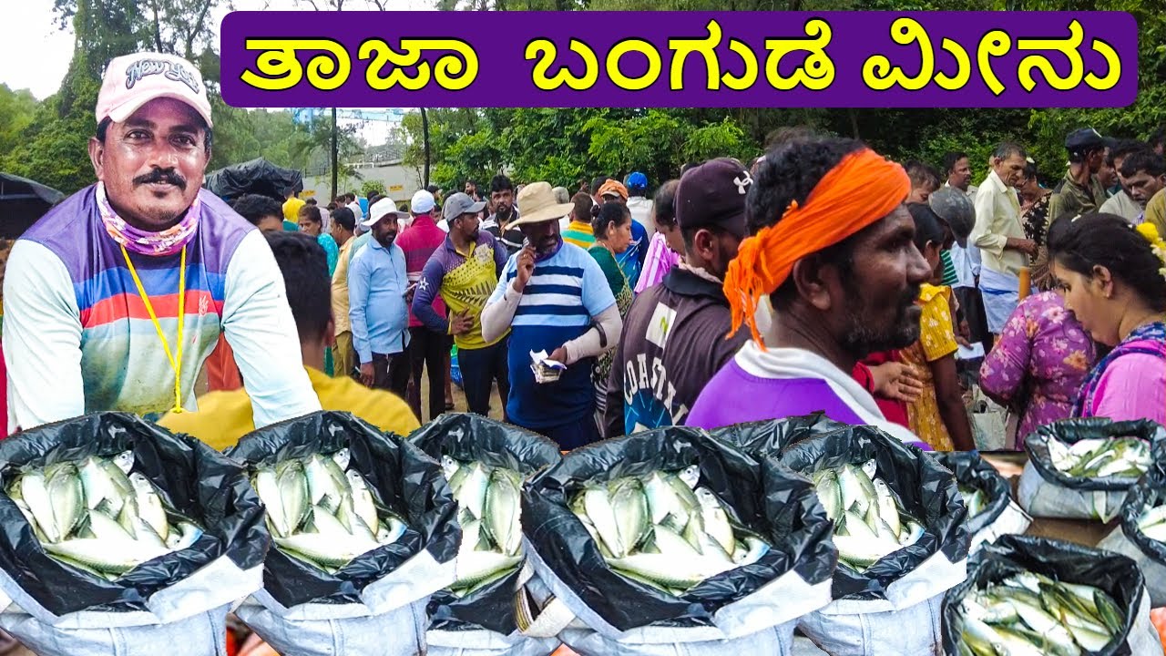 ಪಣಂಬೂರಿನಲ್ಲಿ ತಾಜಾ ಬಂಗುಡೆ ಮೀನು | Exploring The Vibrant Fish Market near Panambur Beach