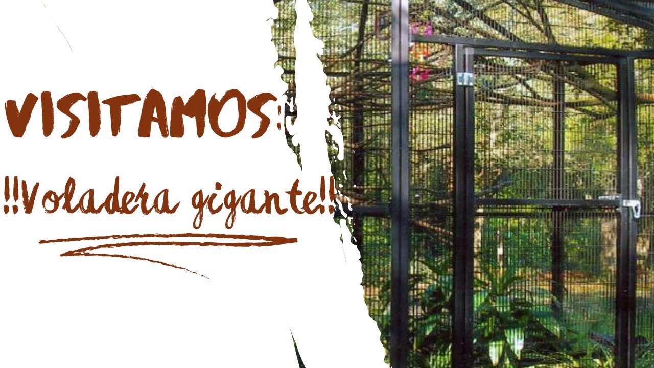 Visitamos una Voladera GIGANTE