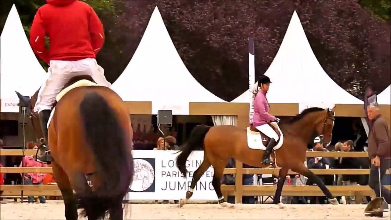 Luciana Diniz, Lennox, paddock, training, GCT Eiffel 2016 (sunday)