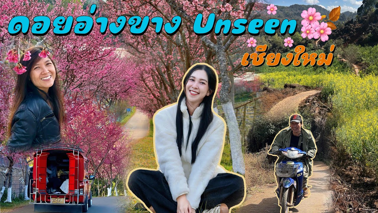 ดอยอ่างขางแบบUnseen ช่วงหน้าหนาว