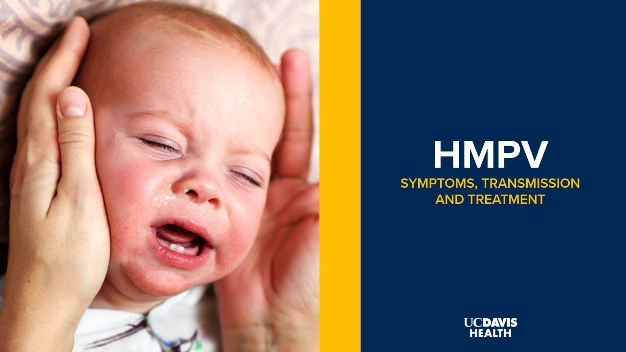 HMPV Explained: Human Metapneumovirus Symptoms, Transmission and Treatment Options | UC Davis Health