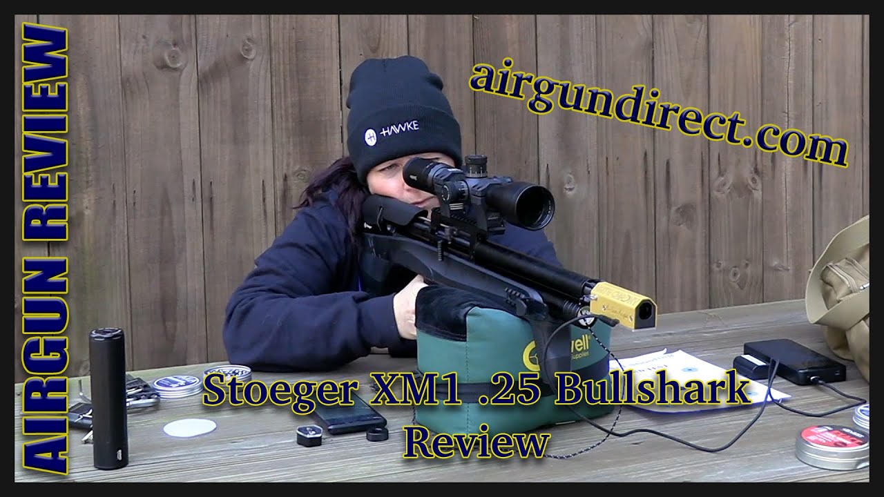 STOEGER XM1 BULLSHARK .25 REVIEW - @Backyard Shooting