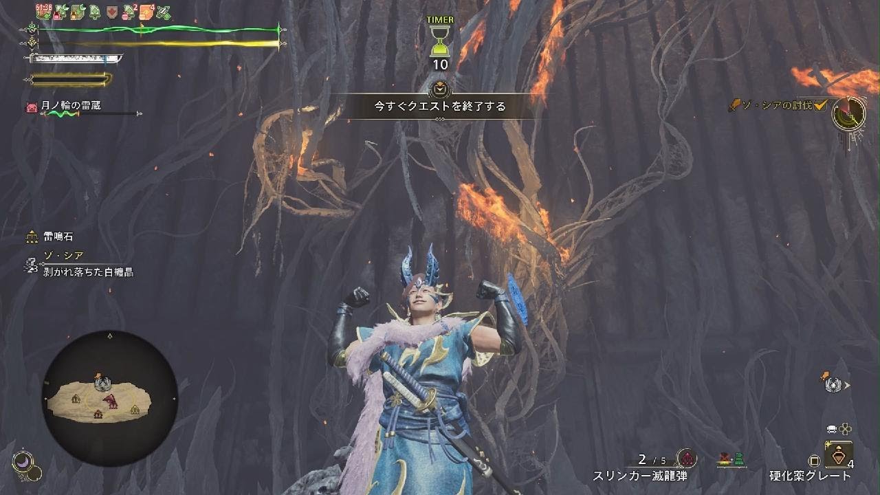 ゾシア⭐10ソロ太刀