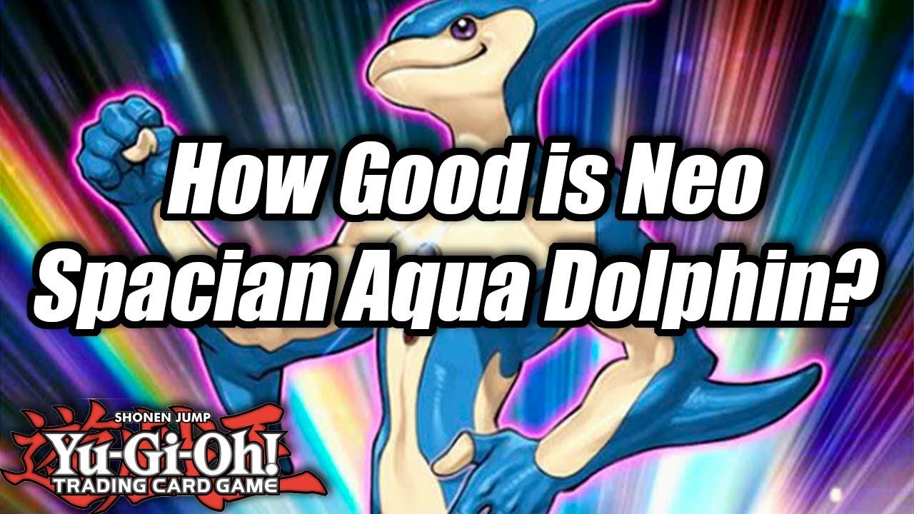 Yu-Gi-Oh! How Good is Neo Spacian Aqua Dolphin?