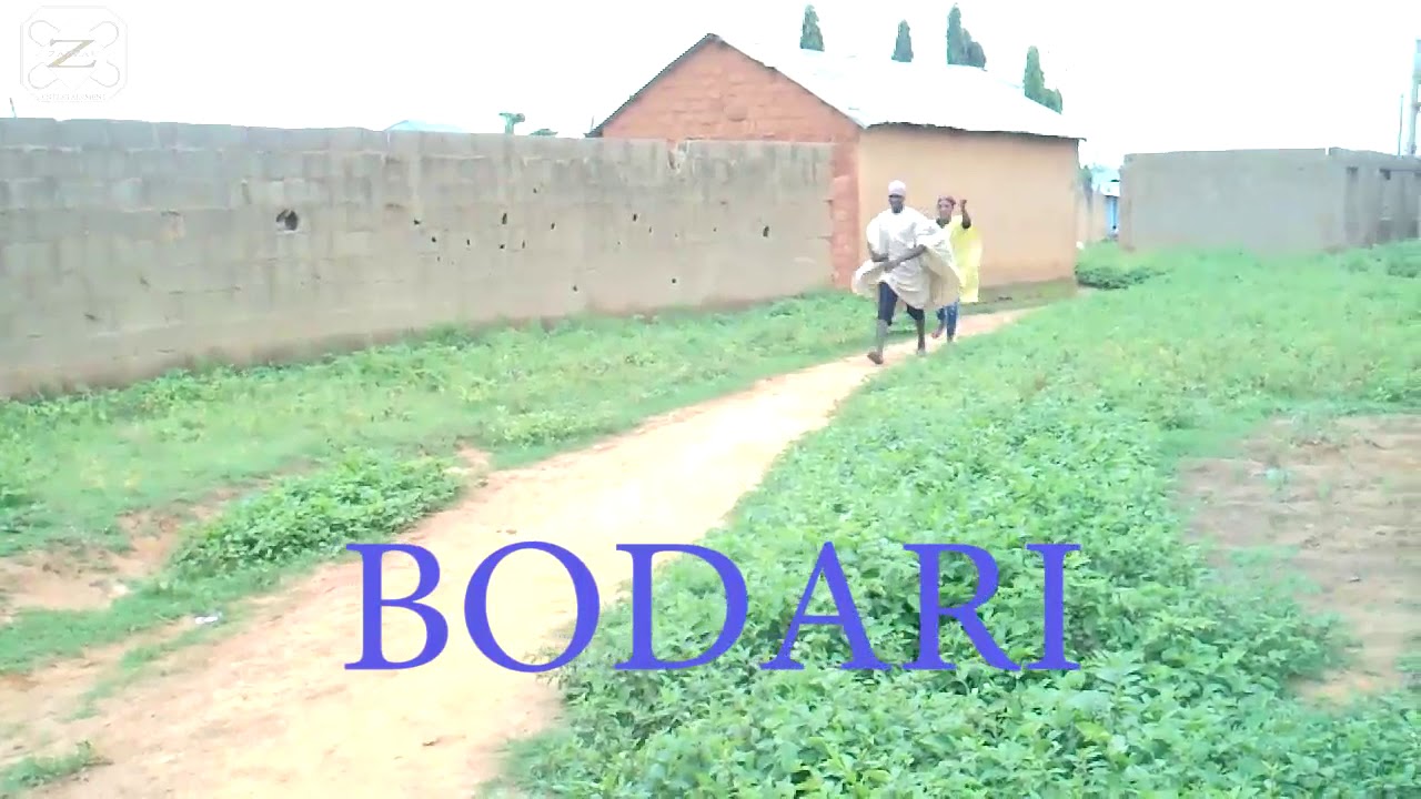 Bodari