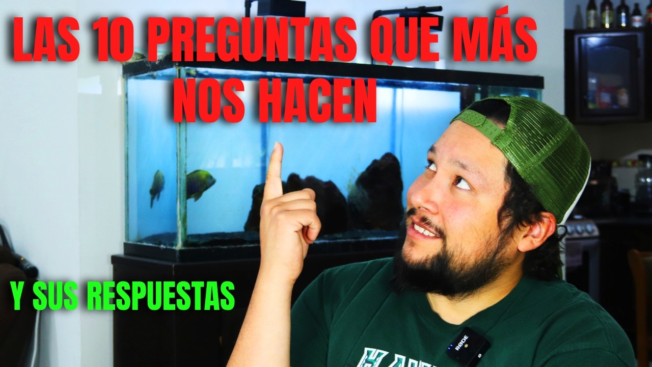 15 Años De Preguntas En Un Solo Video