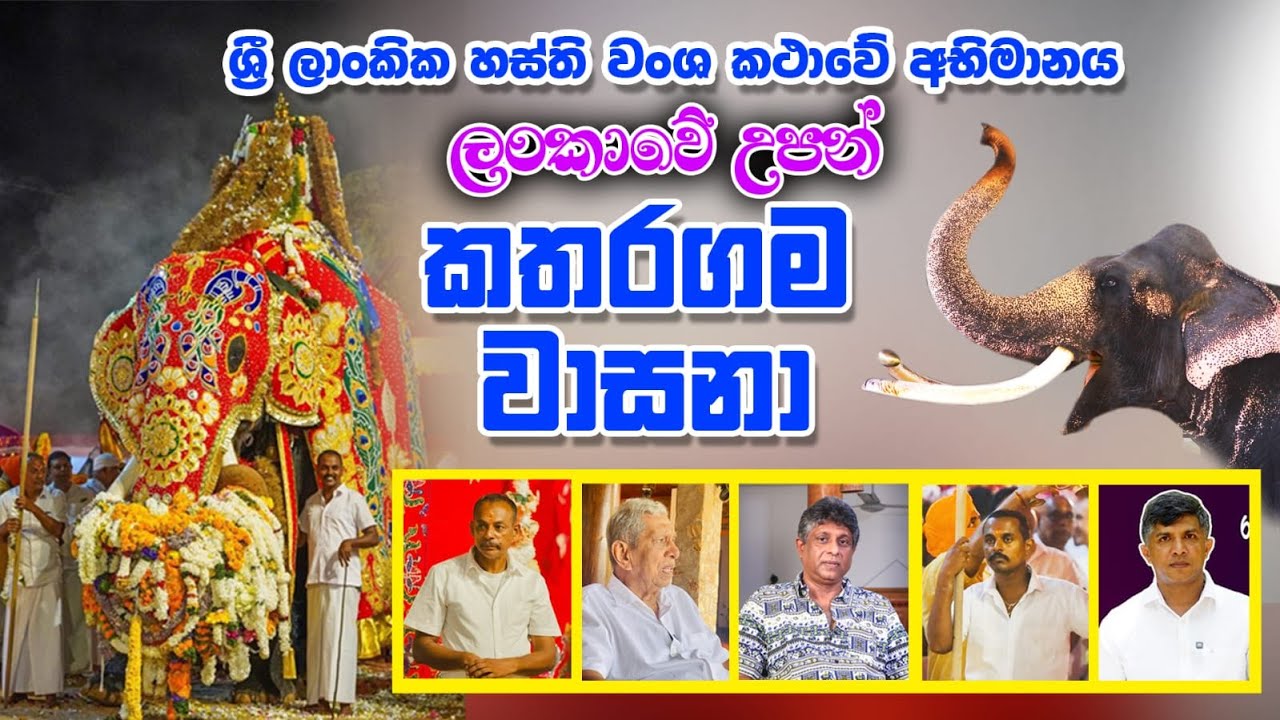 Katharagama wasana සිංහලේ අපේ ඇත් රජු කතරගම වාසනා ඇත් රජු ගැන වැඩසටන් පෙළක් අතිත මතක #heladeepatv
