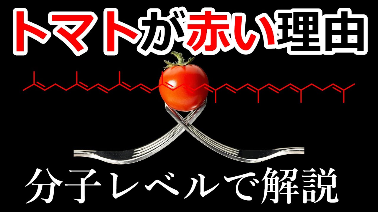 トマトが赤い理由を分子レベルで説明できるようになる動画【化学研究者がガチ解説】