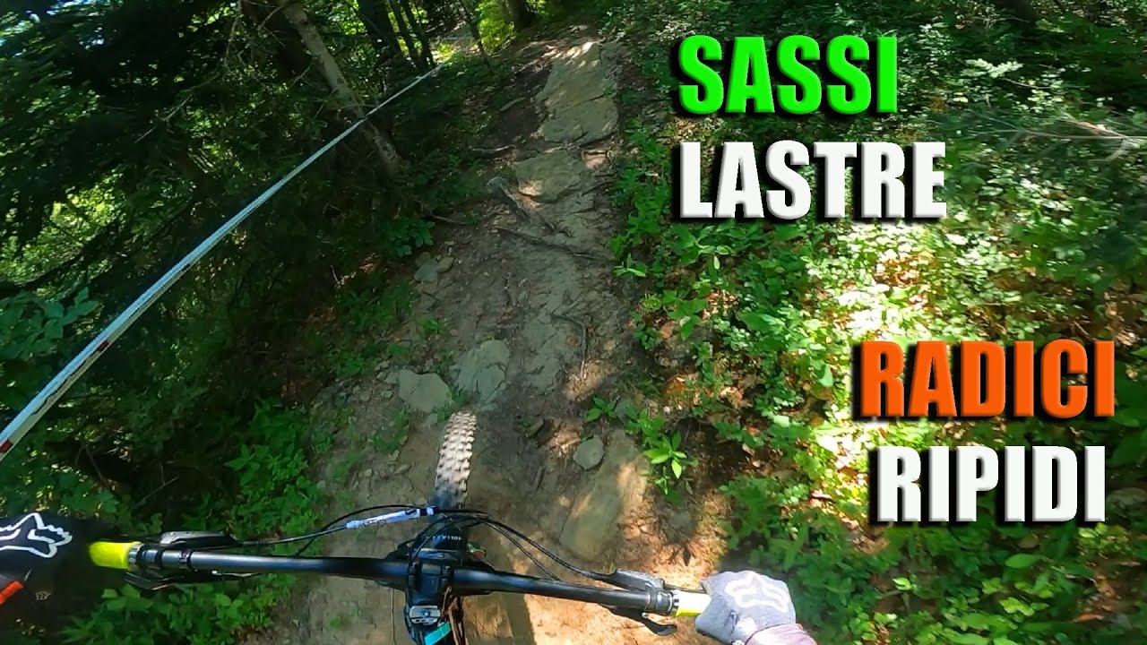 SASSI e CONTROSASSI con aggiunta di RADICI - ABETONE GRAVITY PARK