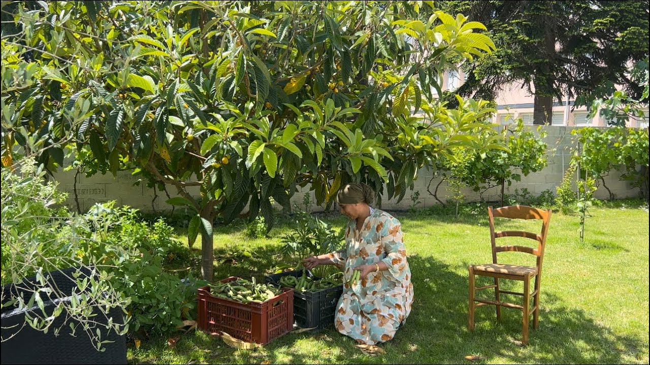 Une belle journée avec moi 🥰🌺 أتمنى لك يومًا سعيدًا معي ❤️😘