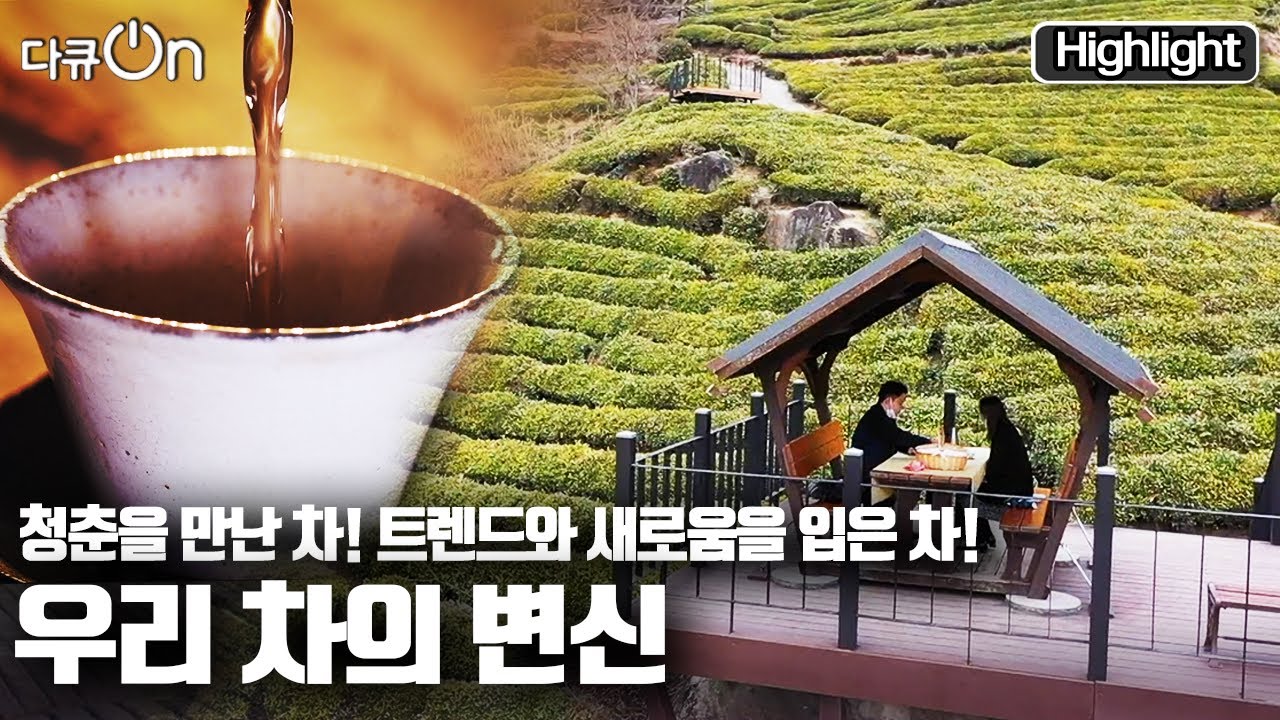 [다큐온] 🍵보성 녹차, 하동 녹차, 더욱 젊어지고 달라진 한국차Tea 문화 