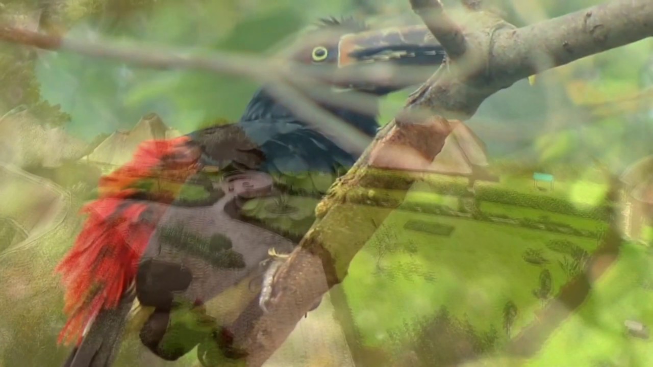 HIMNO AL PLANETA TIERRA