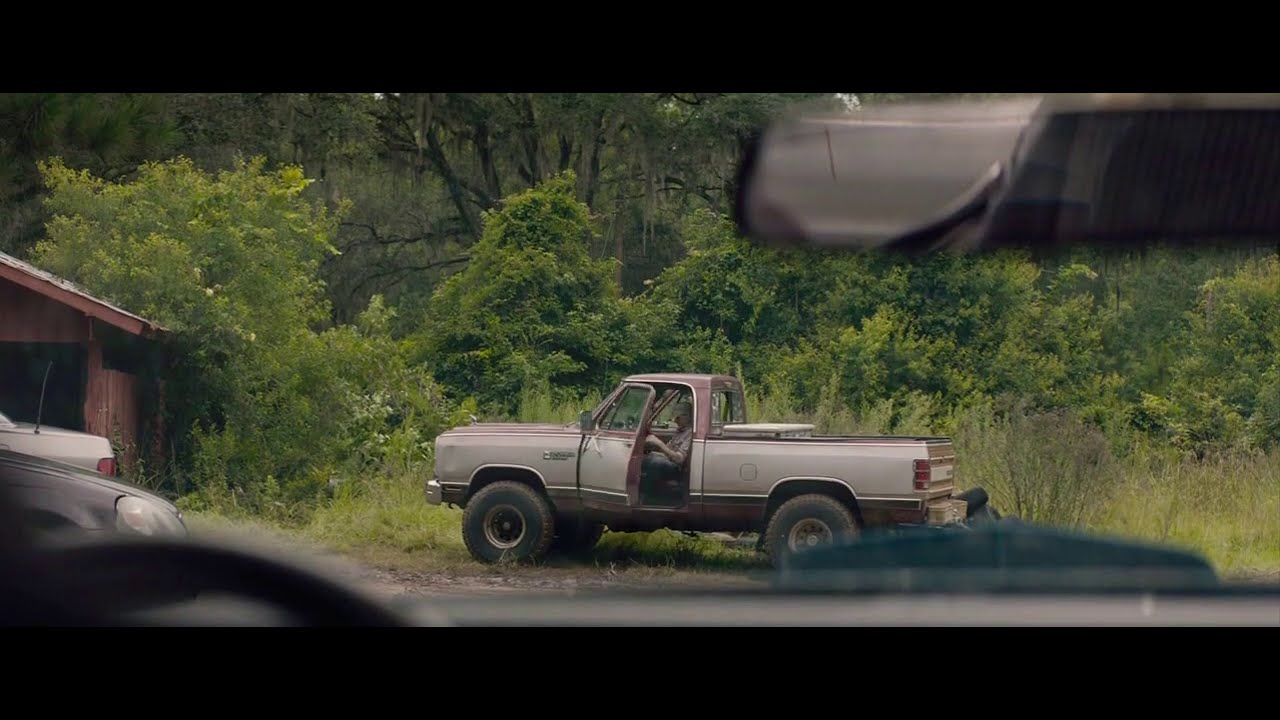 THE PEANUT BUTTER FALCON CLIMAX (2019)