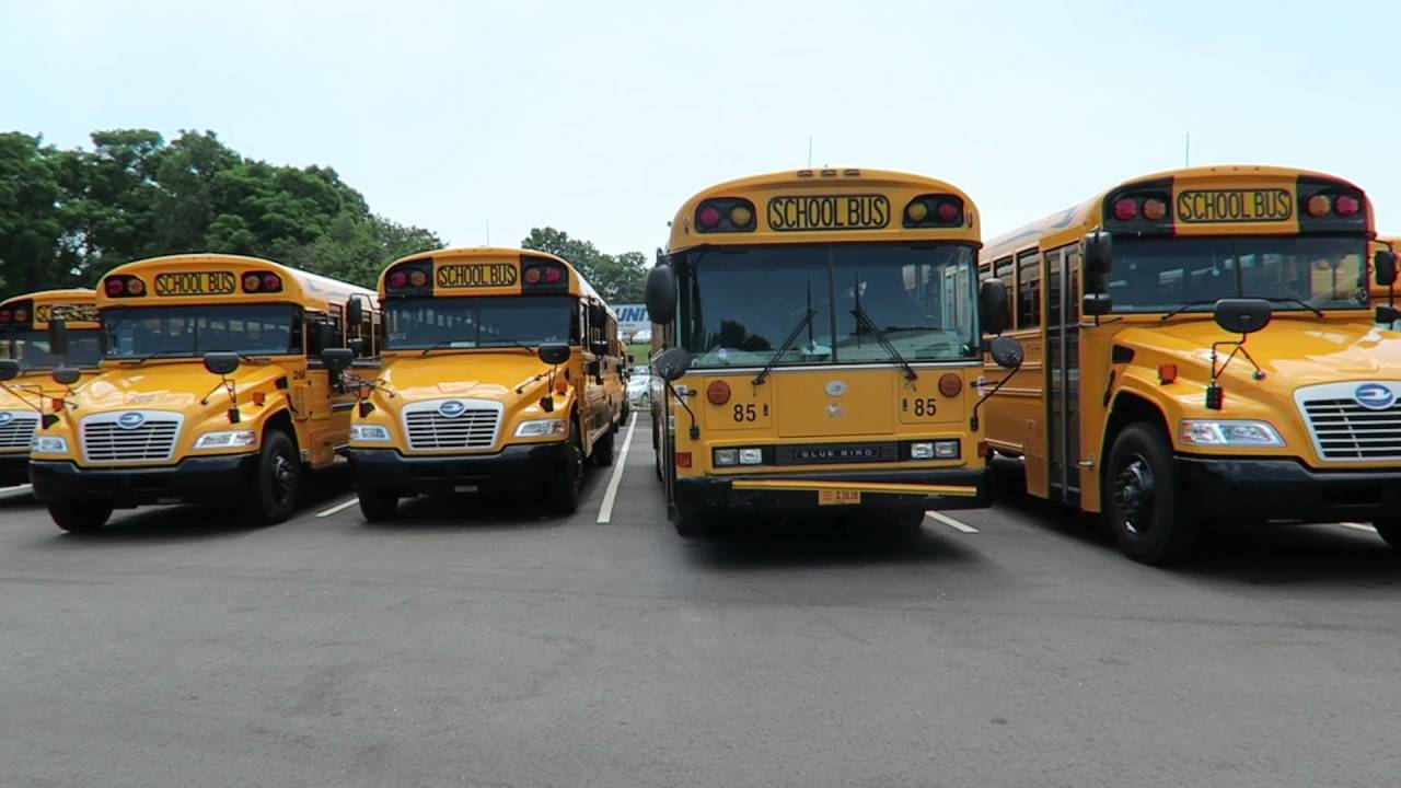 Bird Bus Sales Visit