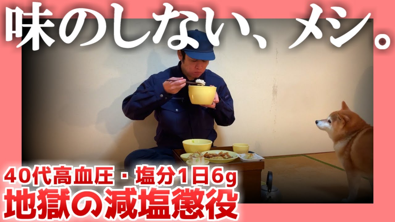 【40代高血圧】味のしない、メシ。【塩分1日6g】|  地獄の減塩懲役