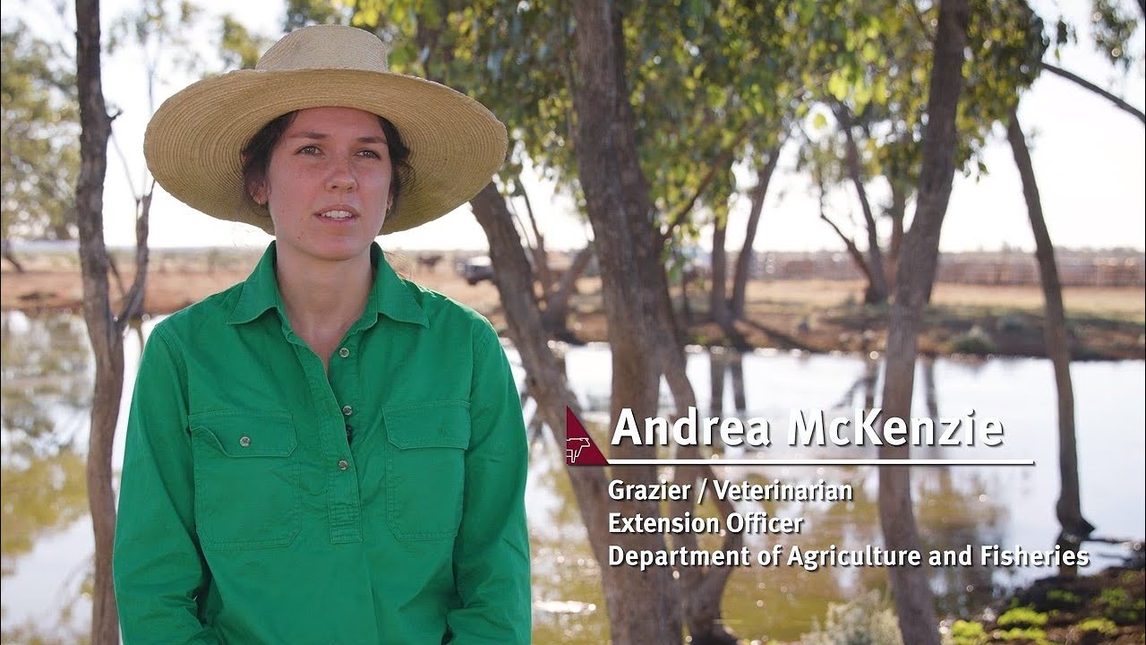 Vaccination best practice for healthy herds