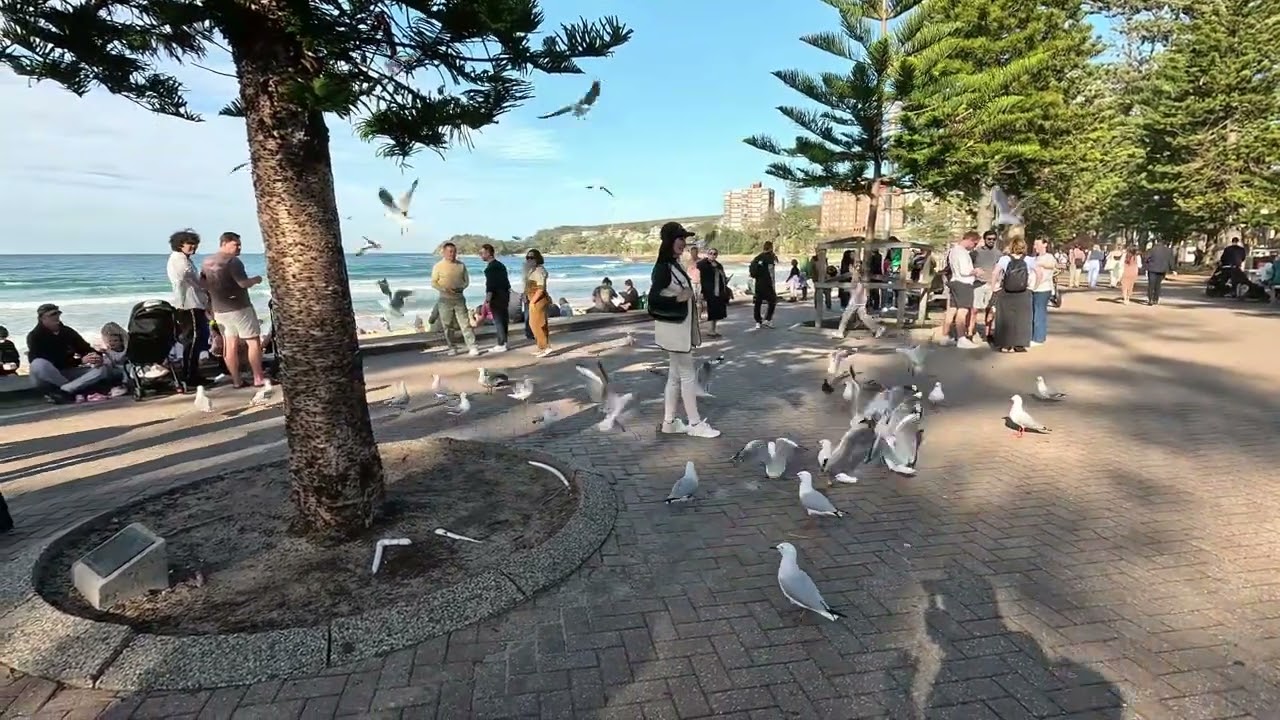 Saxophonist at Manly Beach