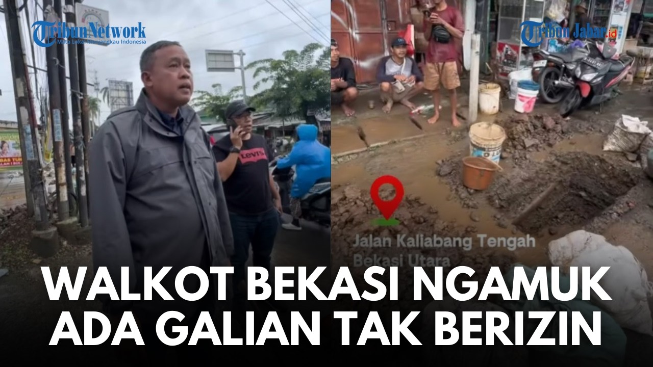 WALKOT BEKASI GERAM! Tri Adhianto Tegur Pekerja & Stop Penggalian Kabel Optik di Kali Abang Tengah