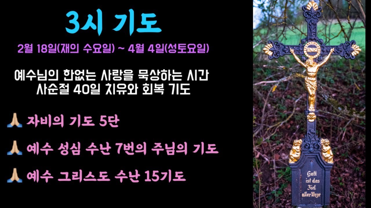 🌿 3시 사순절 40일 치유와 회복기도  #세레나의치유의숲 #자비의기도 #자비의5단기도 #7번의주님의기도 #비르지타의기도 #예수수난묵상기도 #15기도