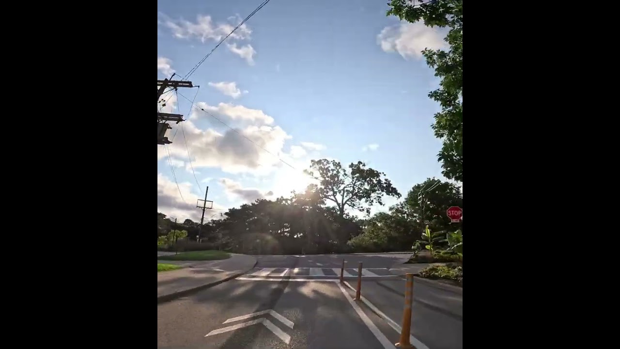 Bike Crash in High Park - Toronto #bike #crash #highpark