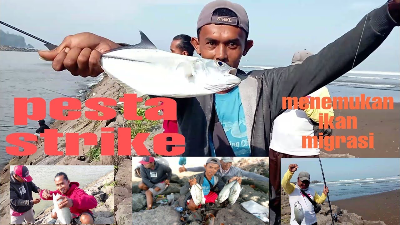 Heboh,#panen Panen ikan GT di obyek wisata pantai jetis part 1