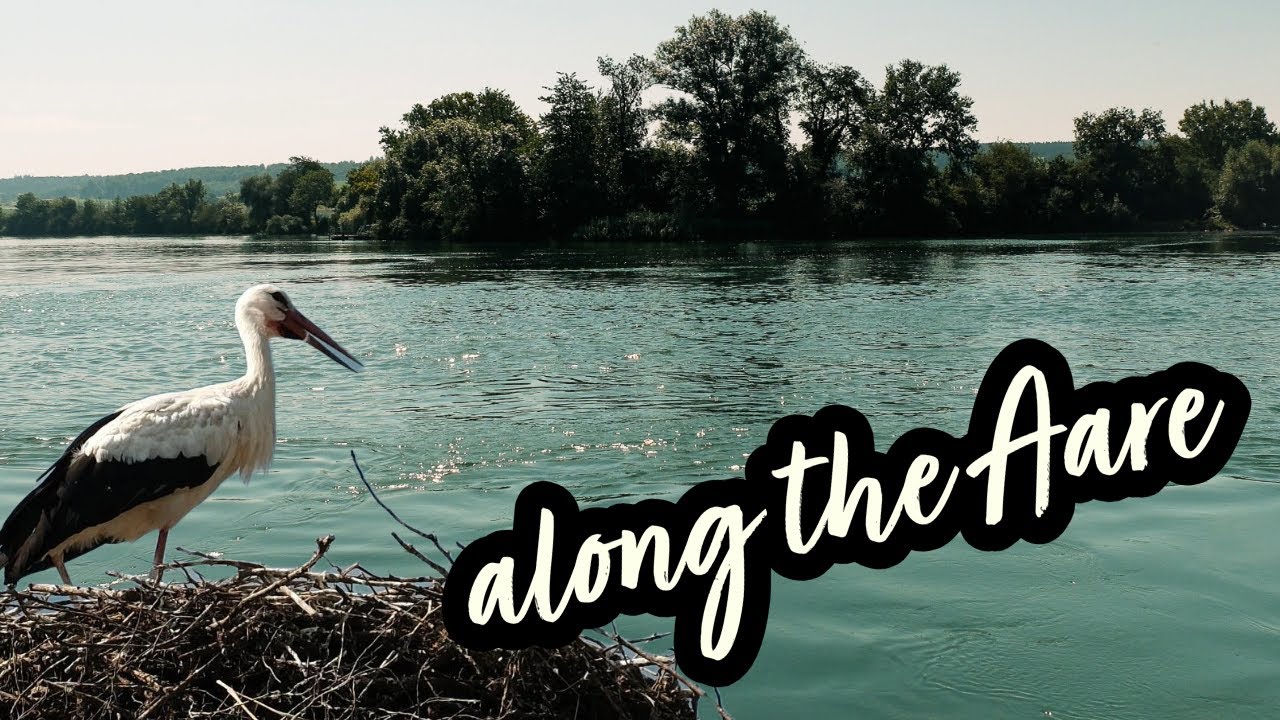 Aare by bike / Swiss route 5 / Solothurn, Altreu, Switzerland