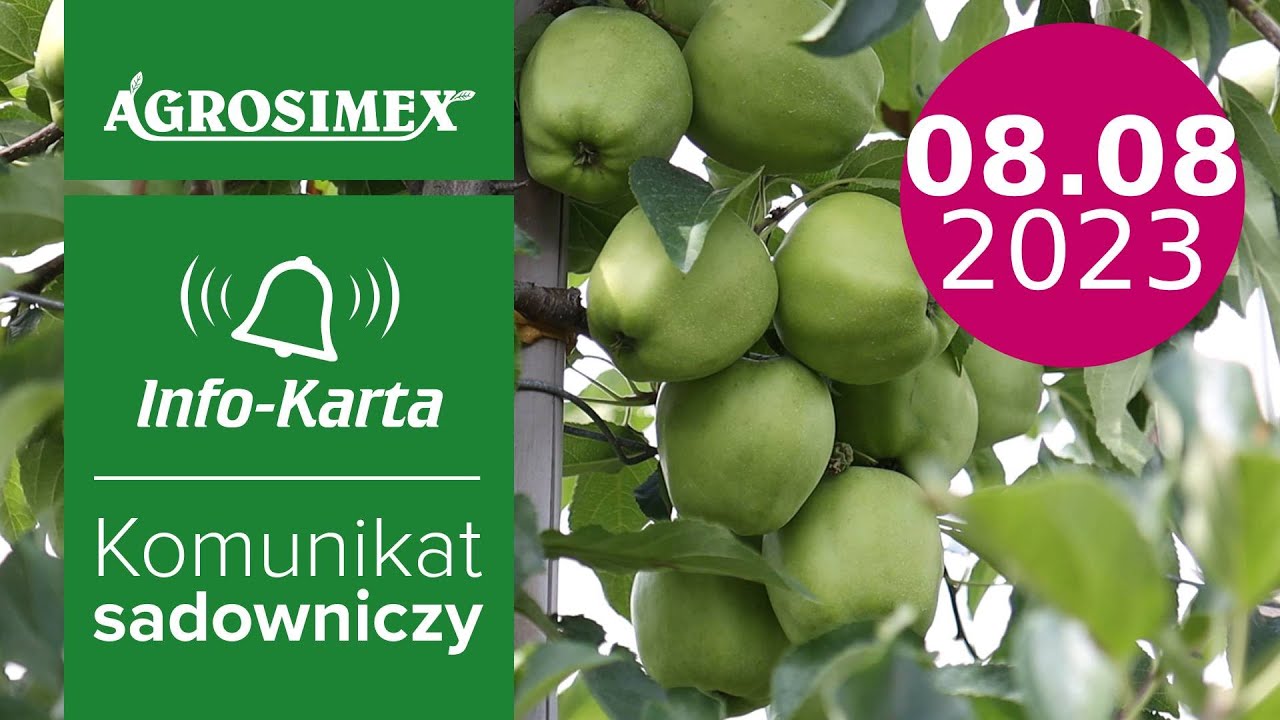 Nekrotyczna plamistość liści oraz zabiegi przedzbiorcze - komunikat sadowniczy | Agrosimex