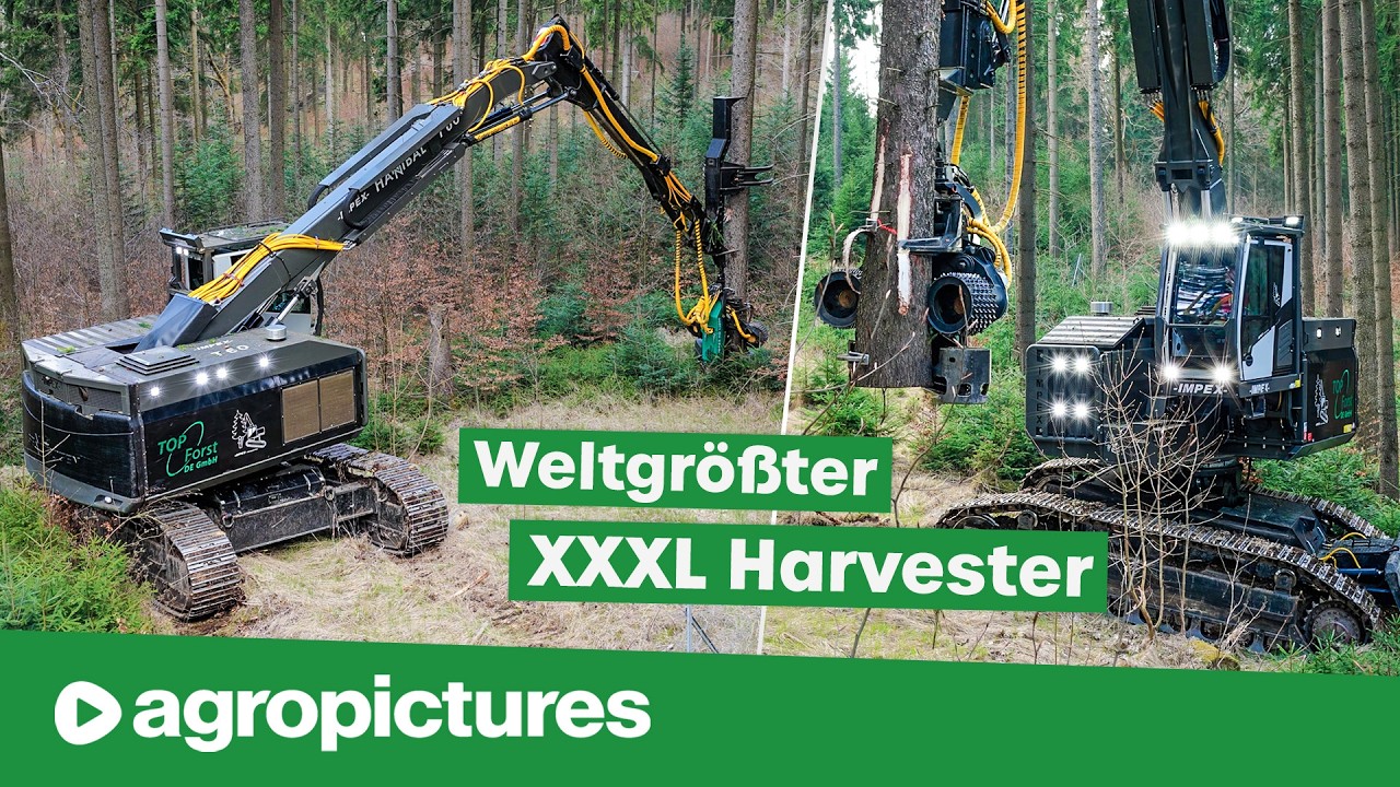 Holzernte XXL mit dem 64 Tonnen Mega Harvester IMPEX Hannibal T60 | Forst Doku extrem | XXL Maschine