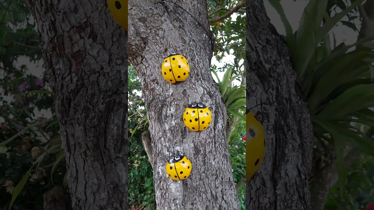 Joaninhas para decorar o jardim  🐞 #shorts #jardim #arte