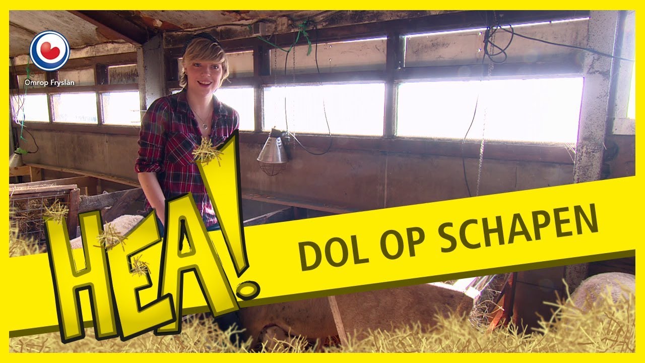 HEA: Dol op schapen