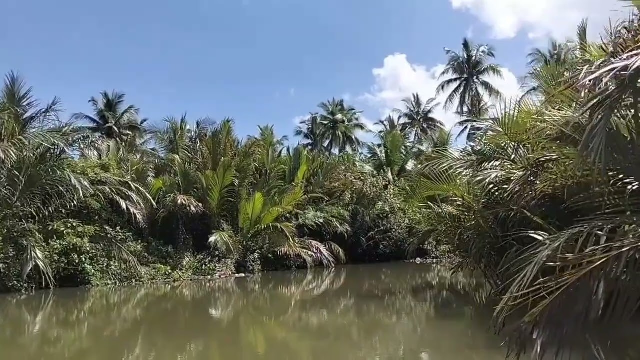 Enjoying the Natural Beauty of Nature