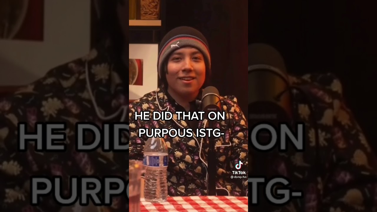 random Dsmp tiktoks i found #2