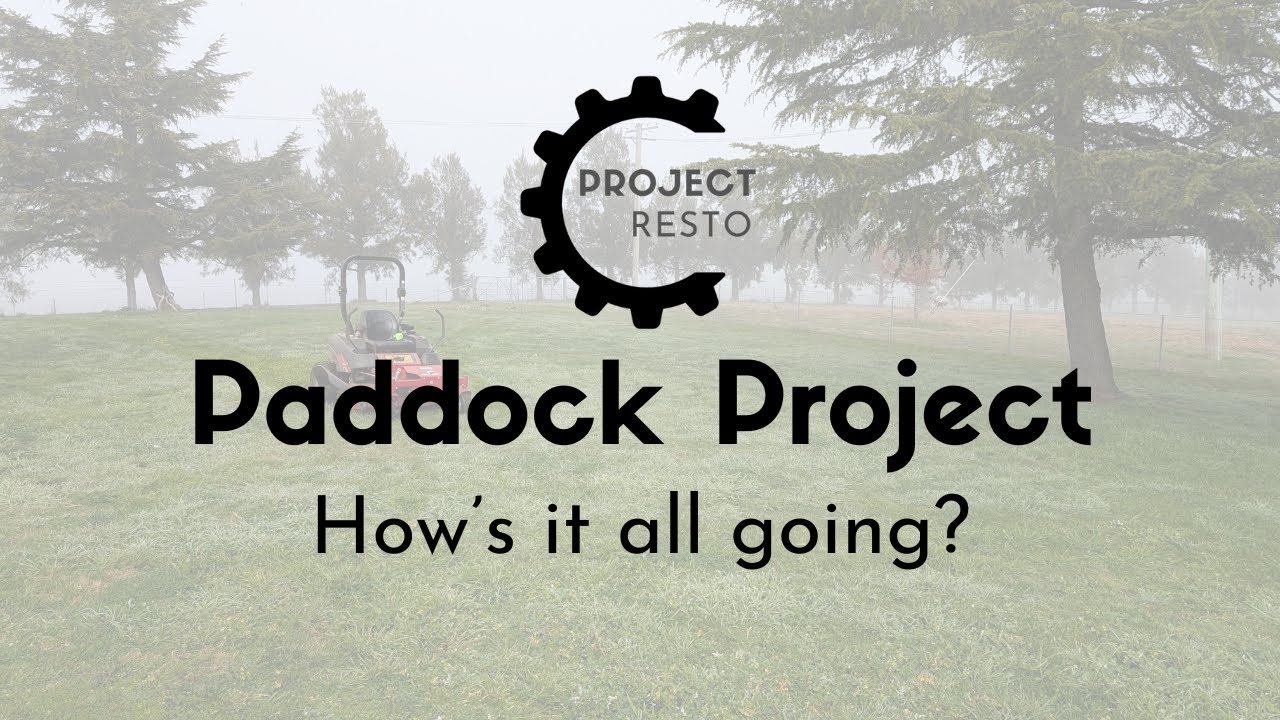 Can I turn this paddock into a lawn?