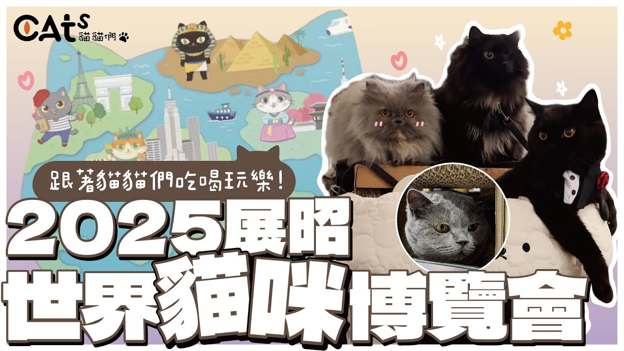 2025展昭世界貓咪博覽會/受邀出席的貓貓們/超好逛的韓國區/值得二刷的貓展/抽獎抽起來