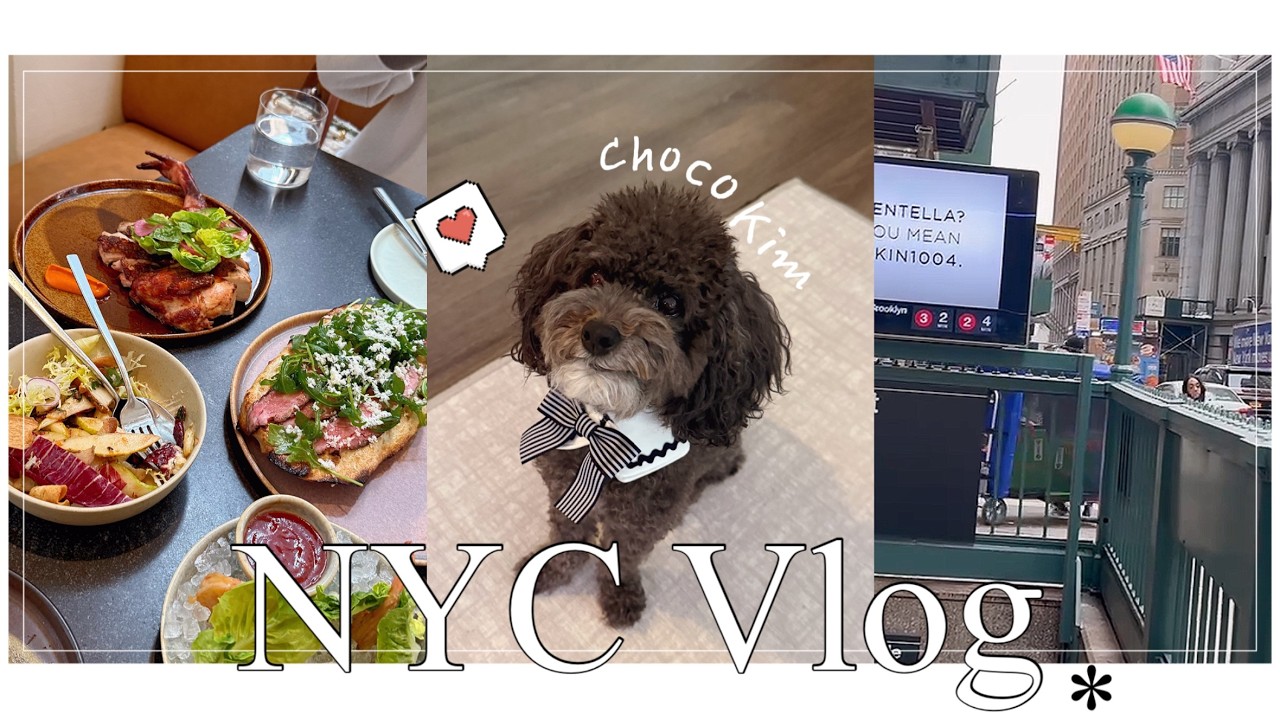 [NYC Vlog] 20년차 뉴요커의 월스트리트 맛집 & 핫플 정리 🗽 | 맨해튼 강아지 초코와의 하루