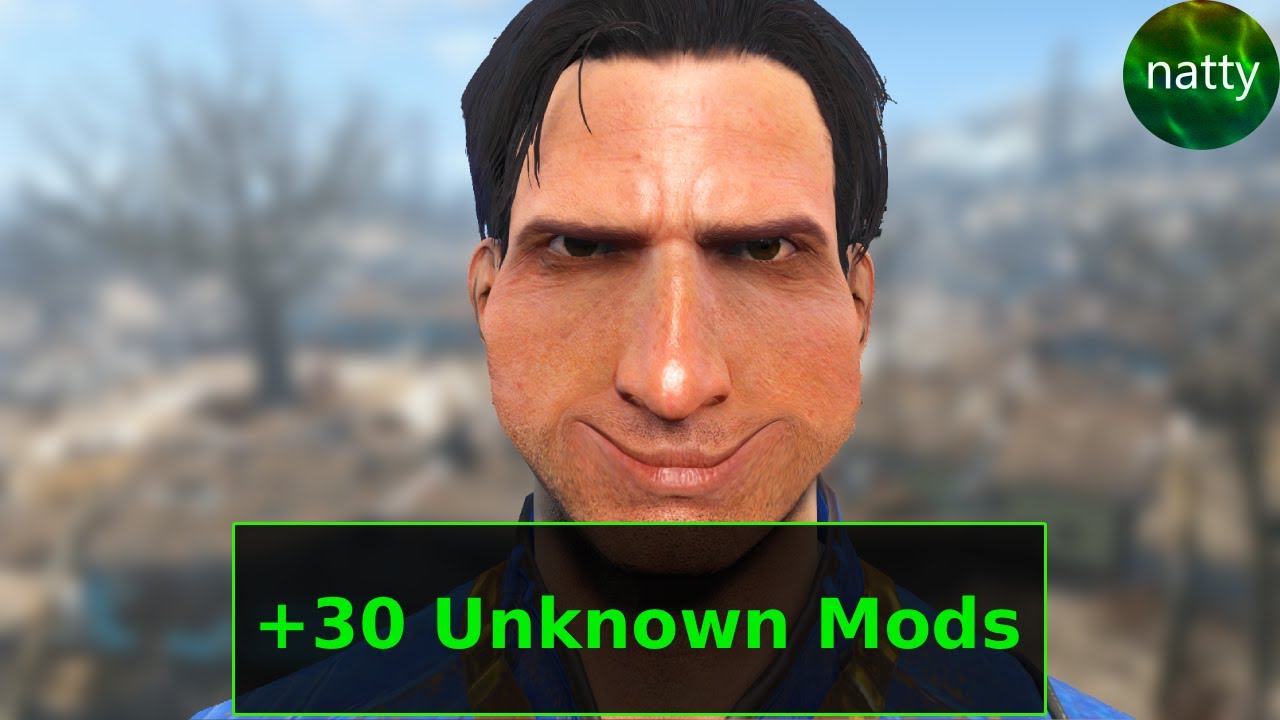 Fallout 4, but I don't Know the Mods