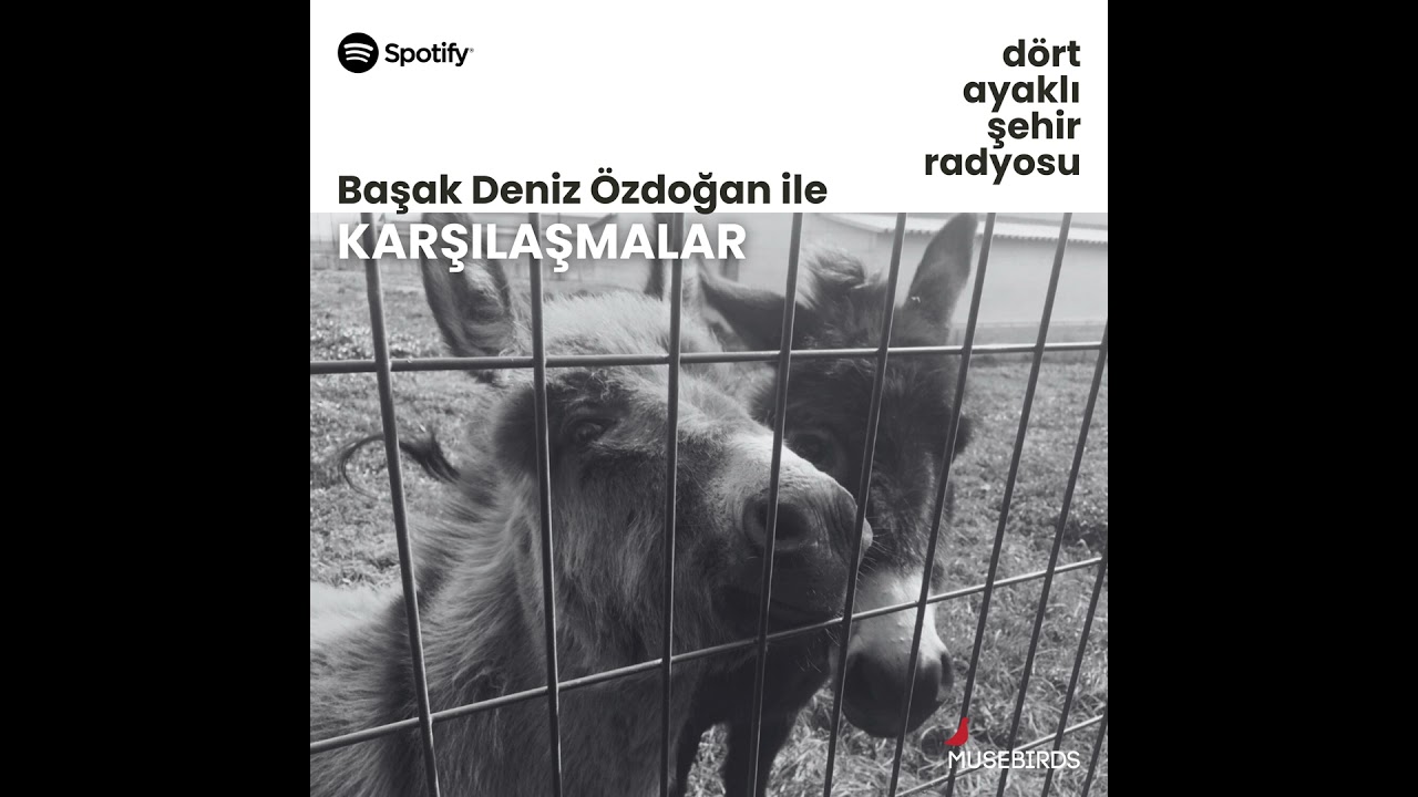 Karşılaşmalar - Başak Deniz &Ouml;zdoğan | Panter Emel, 17 Ağustos depremi ve Aksa faciası