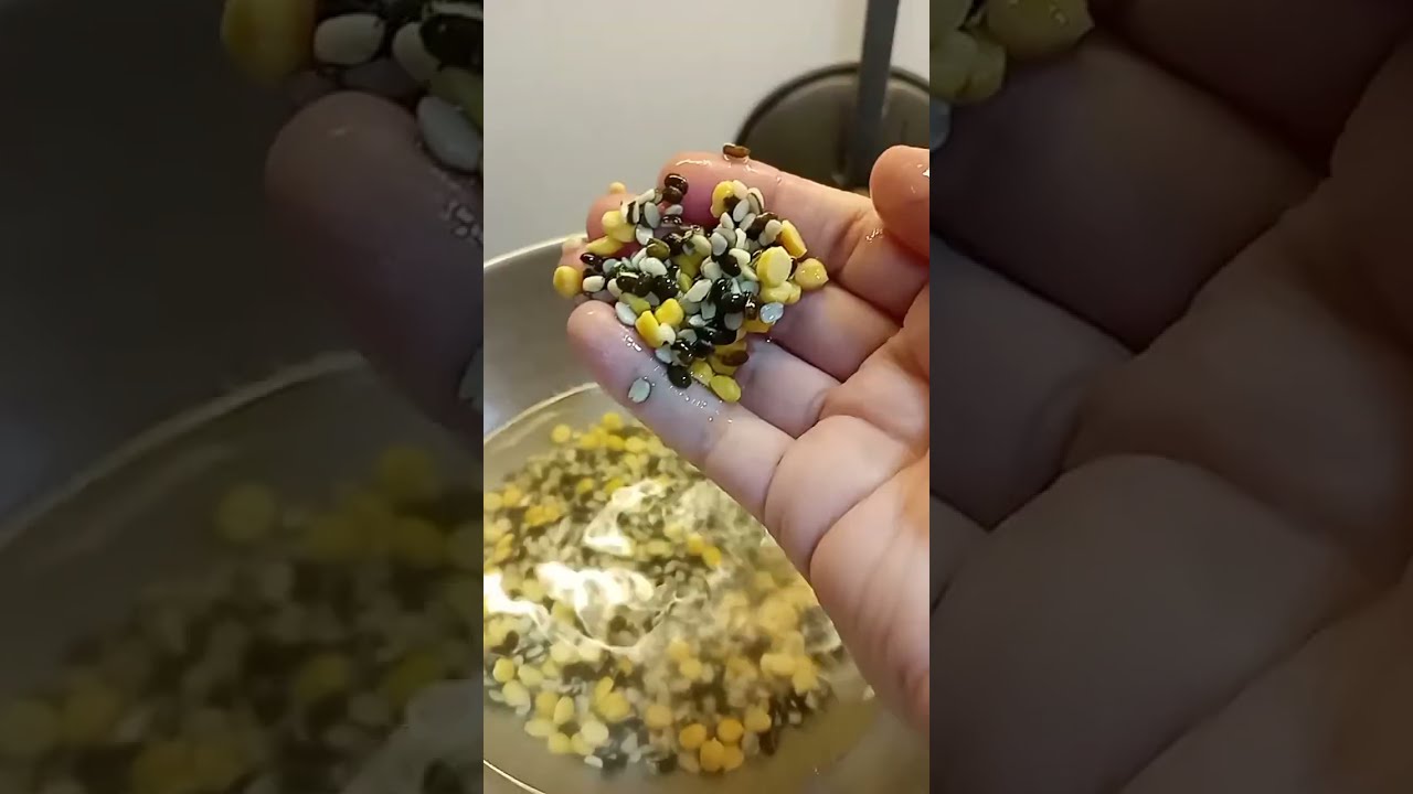 Daal bati Aaj ham lunch mein banaa rahe hain 😋👌